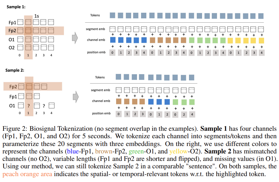 biot_tokenization