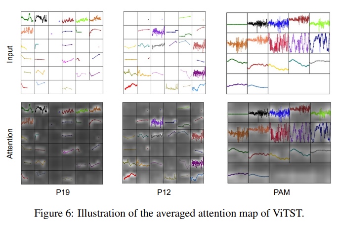 vitst_attention